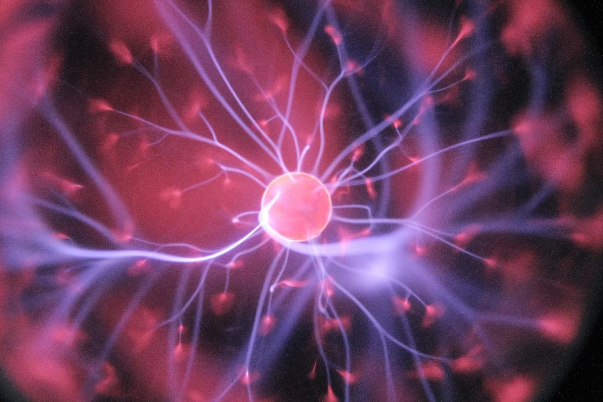 Agentic Long Term Memory Neural Network Visualization